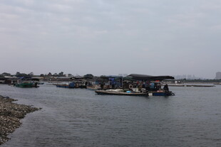 水乡河畔停泊的船只景象