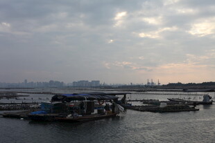 河畔船只与远处天际景观