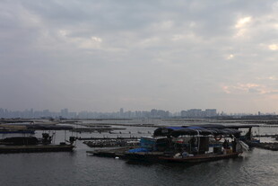 港口停泊船只的阴沉景象