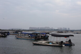 水上船只停泊景象