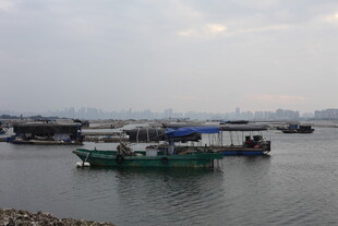 港口停泊的多艘船只