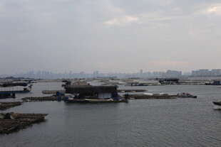 海港风光 船只停泊景象