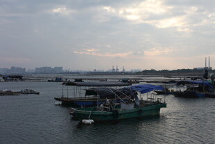 海港停泊船只景象