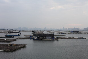 水上建筑群 宁静景致