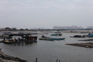 港湾停泊的多艘船只