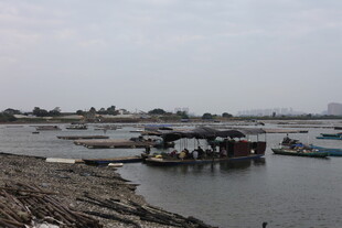 宁静水边停泊的船只景象
