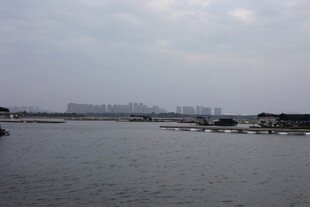 宁静水域与远处建筑景观