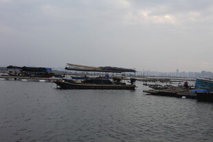 港口停泊的船只景象