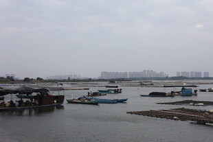 港口停泊着多艘船只