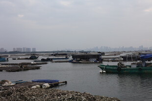 港口停泊船只景象
