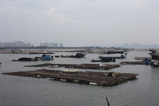 水上停泊的众多船只设施