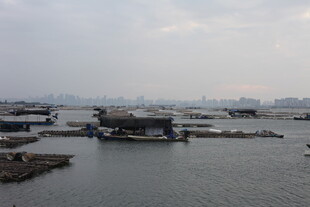 港口景象 船只停泊于码头