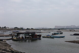 宁静水边停泊的船只景观