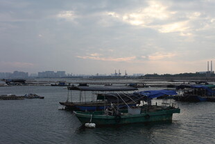 海港停泊的船只与美丽天色