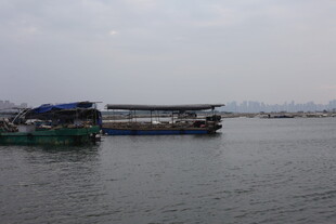 江边停泊的船只