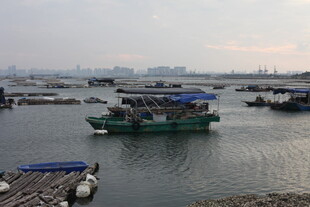 水上停泊的多艘船只