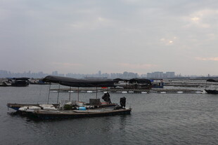 港湾中的船只与水上设施