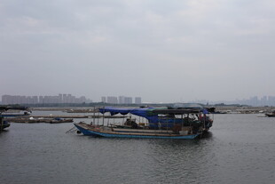 海上停泊的船只