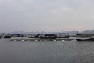 水上养殖场景