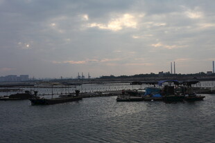 海港码头风景