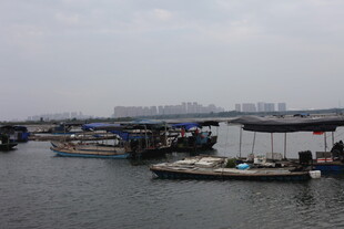 水上渔村景象