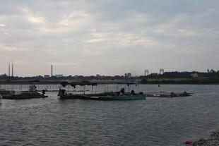 海港停泊船只景象