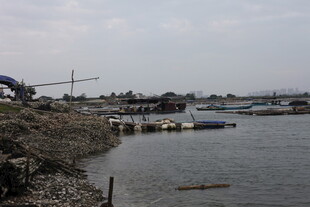 岸边停泊船只的水域景象