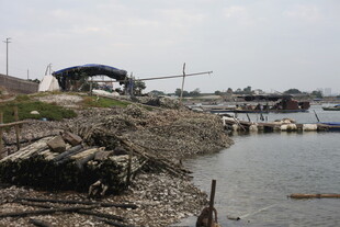 岸边停泊船只的水域景象