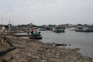 岸边停泊的多彩船只