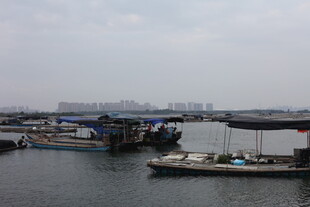 港口停泊船只景象