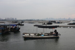 水上渔船场景