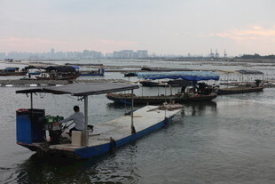 水上停泊的船只与码头