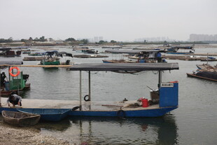 水上停泊的多彩船只