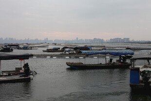 水上船只停泊景象