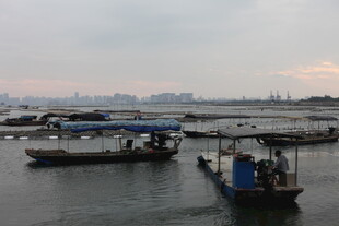 黄昏时分的宁静水上船只