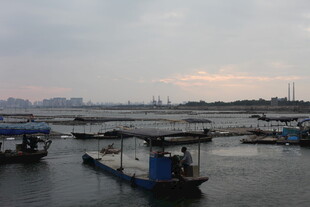 海港暮色中的停泊船只