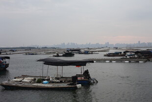 水上渔船作业场景