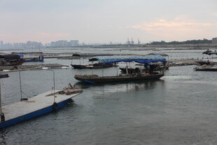宁静港湾中的停泊船只