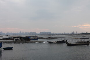 黄昏下宁静的港口景象