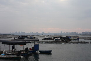 海港渔船停泊景象