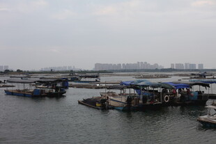 海上停泊的船只景观