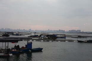 海边码头停泊船只景象
