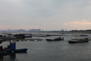 海港船只停泊景象