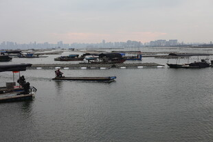 水上船只景象