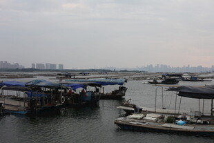 水上渔村景象
