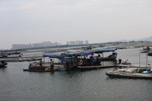 港口码头船只停泊景象