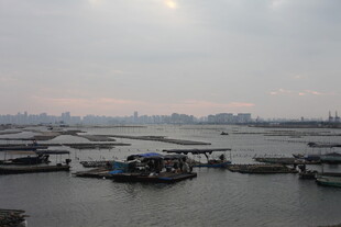 港口船只景观