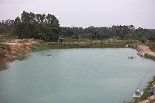 宁静湖畔风光