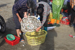 海边人整理渔具场景