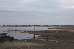河畔风景